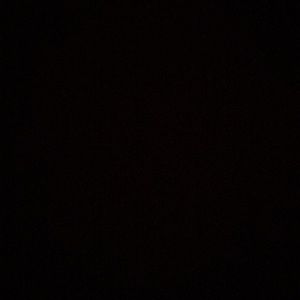 Meet your Posher, Ricky